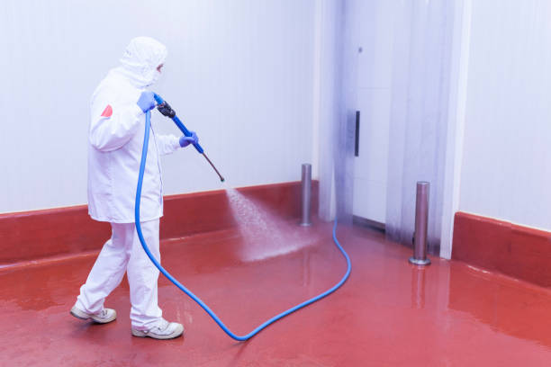 Best Graffiti Removal  in Timber Pines, FL